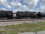 PRGX 10535